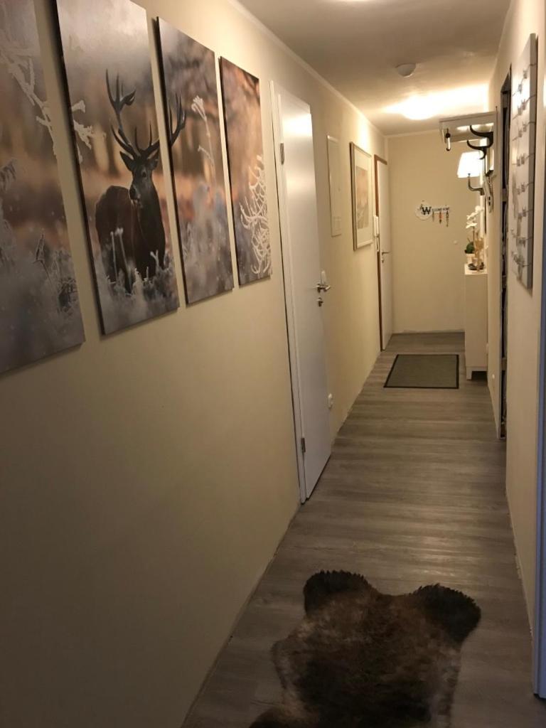 Wurmbergtraum Celina In Braunlage 4 Sterne Zertifiziert Vom Dtv Inklusive Waeschepakete Apartment Exterior foto