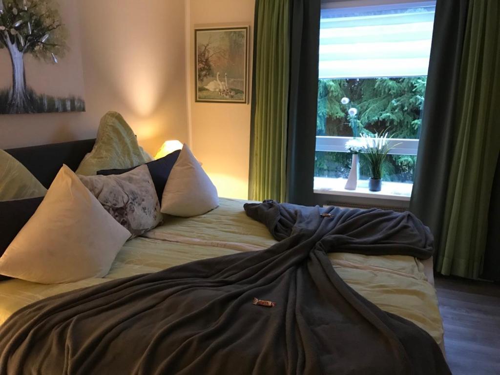 Wurmbergtraum Celina In Braunlage 4 Sterne Zertifiziert Vom Dtv Inklusive Waeschepakete Apartment Exterior foto